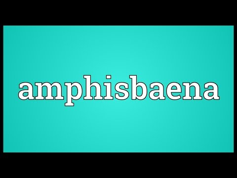 Amphisbaena Meaning