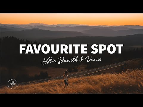 LDVC & Dawilk - Favourite Spot (Lyrics) ft. VARUS