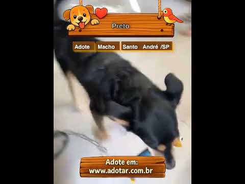Vídeo de Preto