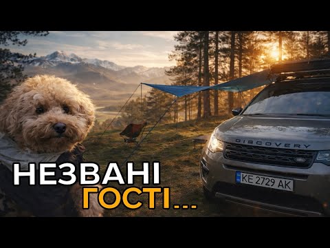 ГОСТІ НА КЕМПІНГУ НЕ МІГ ЗНАЙТИ ЛОКАЦІЮ, ЗНОВУ Land Rover 4K
