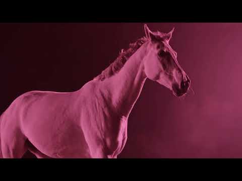 Youth Valley - Hurricane (Official Lyric Video)