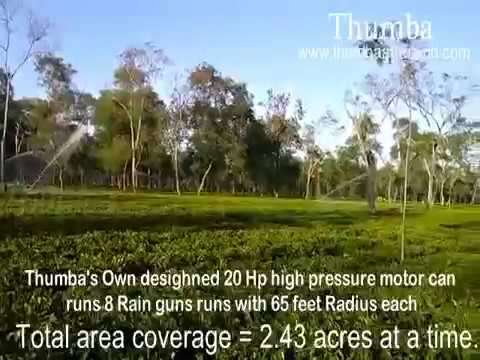 RainGun Irrigation – 500-Acre Tea Estate, Assam
