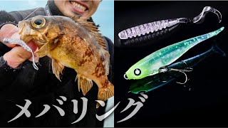 [Rockfish] There are two things to do on day and night! Explaining &quot;Tips for day and night fishing&quot; / Mevering / YASUYUKI ICHIMIYA
