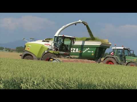 new forage claas jaguar type 498 2017 comun nuovo bergamo