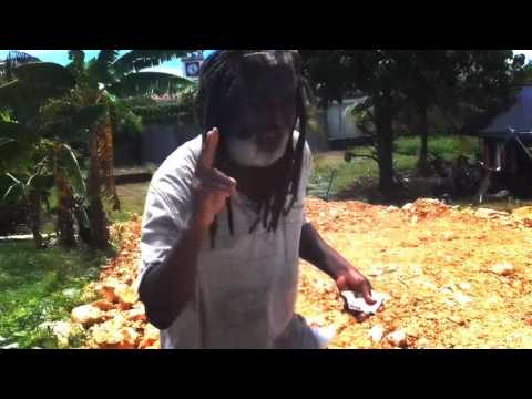 Everyday - Wayne Ft D Realest & Ras Zeb (Official Video)