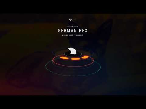 Gato Macho - German Rex ( Musico Feat. Fenilconic ) | Original Mix