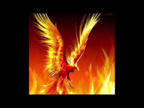 Verica i Ljupco  -  PTICATA FENIKS