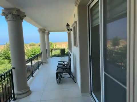 video image