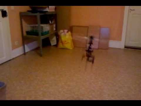 ESKY HBK 2 kontrollierbar auf kleinem Raum