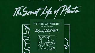 Power Flower ♫ Stevie Wonder
