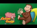 Curious George 🐵Too Expensive 🐵Kids Cartoon 🐵Kids Movies 🐵Videos for Kids