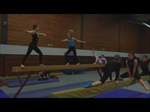 SG Egelsbach - Abt. Turnen - Mannequin Challenge