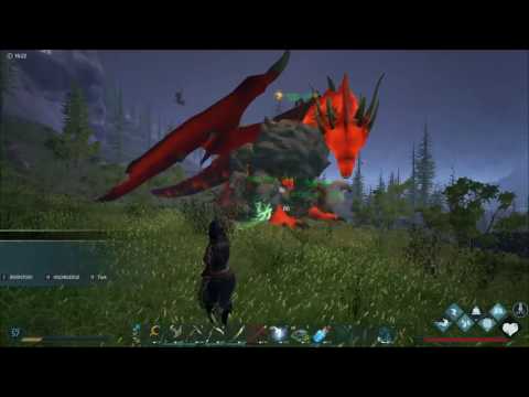 Dark and Light: How to tame a Earth Elemental Easy