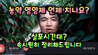 농약 영양제 등 언제 뿌리면 좋나요? 오전? 오후? 속시원하게 정리해드리는 살포 시간대 기본원리ㅡ