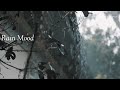 Rain Whatsapp Status Tamil Rain Mood Morning Vibes Malai Video Tamil Natural Video Nature