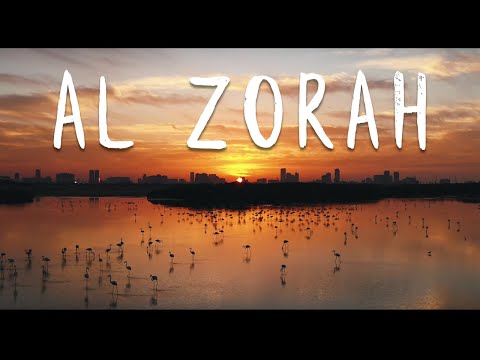 Al Zorah - Ajman, UAE // Mavic 2 Pro - 4k // الزوراء - عجمان