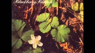 Blackberry Blossom by Norman Blake