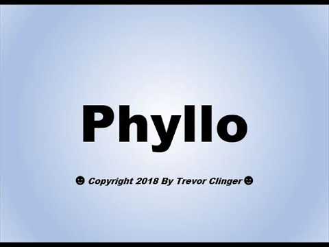 How To Pronounce Phyllo (Filo)