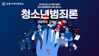 청소년범죄론 이미지