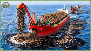 How the World’s Most Polluted Oceans Are Cleaned – Fighting 2 5 Billio