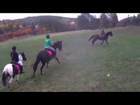 Hubertus w Bałtowie 2015. Pierwsza nora.