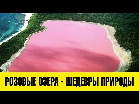 Розовые озера - Шедевры природы