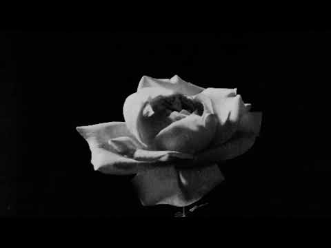 Ele não tem opção…