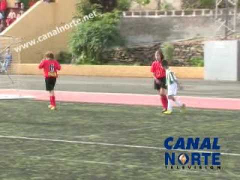 Fútbol Base Alevín: U. D. Guía - U. D. Moya