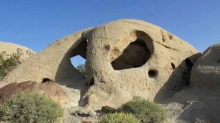 The Arrow Killed the Beast - Heartless Bastards