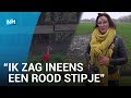Dionne fotografeert zeldzame tropische rode ibis in Egmondse polder