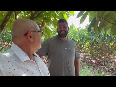 Visita Tec. A Produção de Cacau na Fazenda Canaã em Ibirataia-Ba