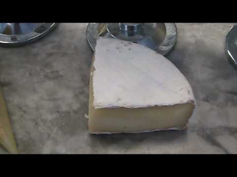 download lagu mp3 mp4 Cirrus Cheese, download lagu Cirrus Cheese gratis, unduh video klip Cirrus Cheese