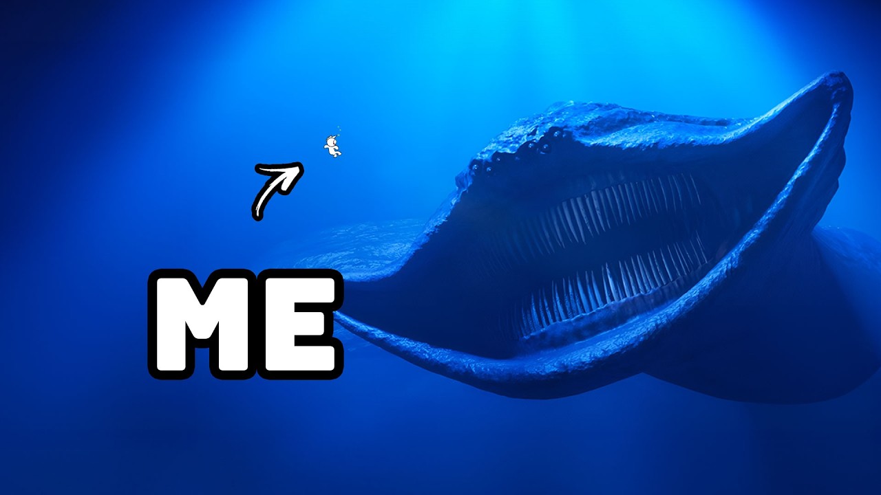 Wyd In This Situation…