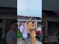 UKHTI VIRAL GURU MAIN SAMA MURIDNYA