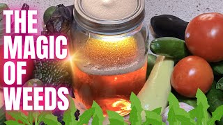 The Magic Of Weeds | An Ancient Method Step By Step To Making Liquid Gold