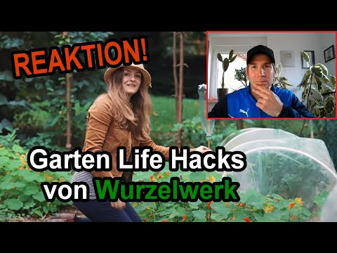 Ich reagiere auf 7 geniale Garten Life Hacks und Tricks von Wurzelwerk - Funktioniert das wirklich…?