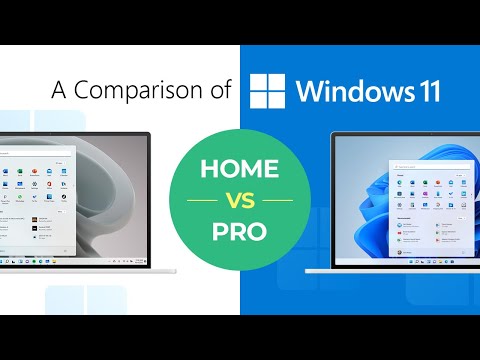 windows 11 home vs professional