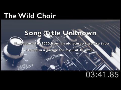 The Wild Choir - Song Title Unknown (1985)
