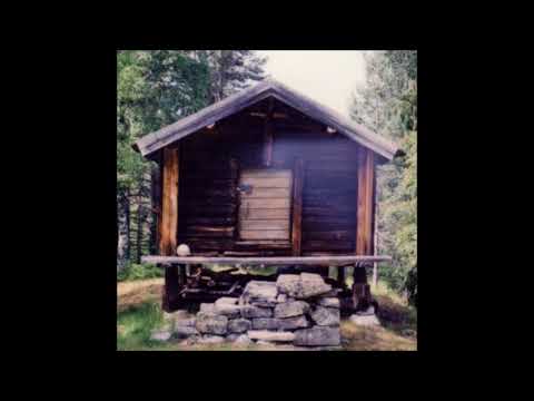 03. deadbeatteen - cabin fever (ft. wraith) (acoustic) [01.08.2017]