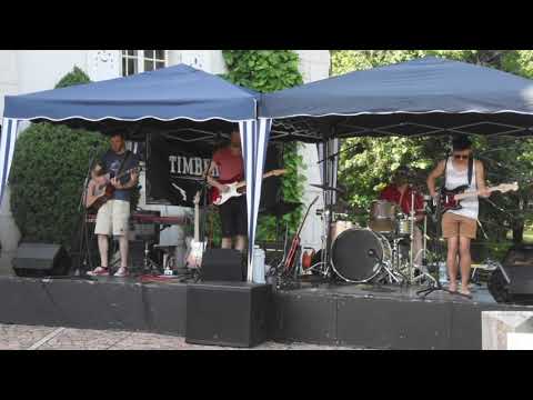 Thumbnail for Timberjack Live 2019 // Sultans Of Swing - Dire Straits by Dire Straits