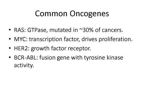 Oncogenes Explained: RAS, HER2, BCR-ABL, and Cancer Targeted Therapy
