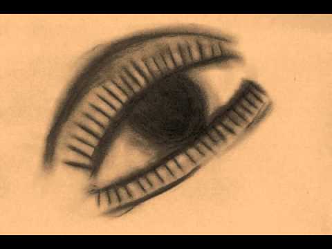 Austrian federal railways