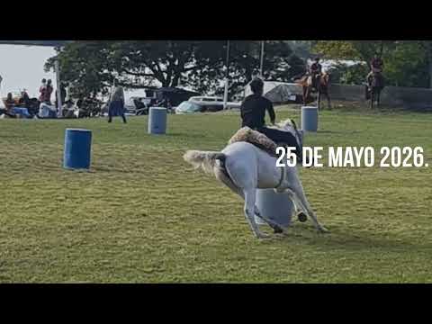 Festival " Nuestra Tierra ". Villa Urquiza. Entre Ríos.