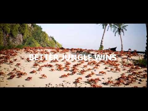 better jungle wins