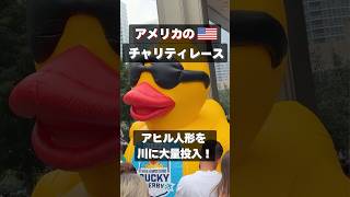 Ducky Derby🏁アヒル8万羽でレース対決!参加費は寄付されるチャリティイベントです😀投下する時もゴールもシュール笑笑 #アメリカ生活 #海外生活#シカゴ #駐在妻 #duckyderby