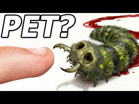 I Got Pet Zombie Worms (yes, really)