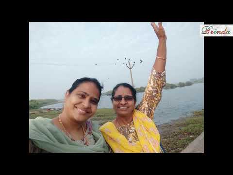Bird watching experience in cuddalore wet lands back waters near silver beach @brinda