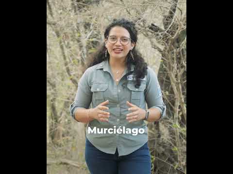 Conoce la fauna que vive en los bosques de Escobal