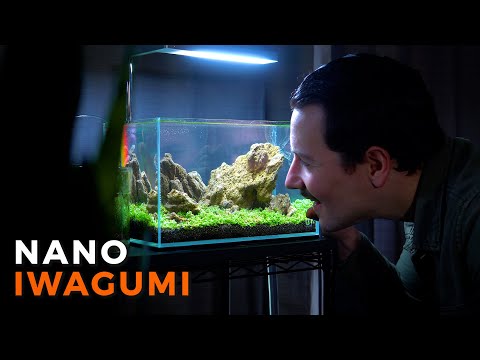 NANO AQUASCAPE SETUP | UNS 3N