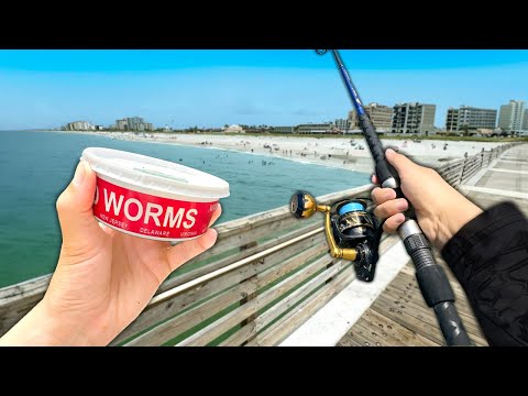 Using NIGHTCRAWLERS at a Saltwater Pier.. (Fishing Experiment)